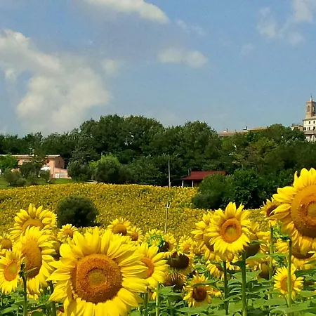 Locazione Turistica Gemma Di Sant'elena.2 Morro dʼAlba